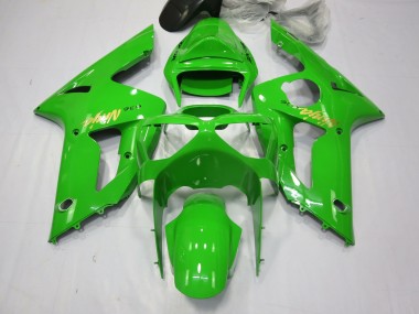 03-04 Grüner Ninja ZX6R Motorrad Verkleidung
