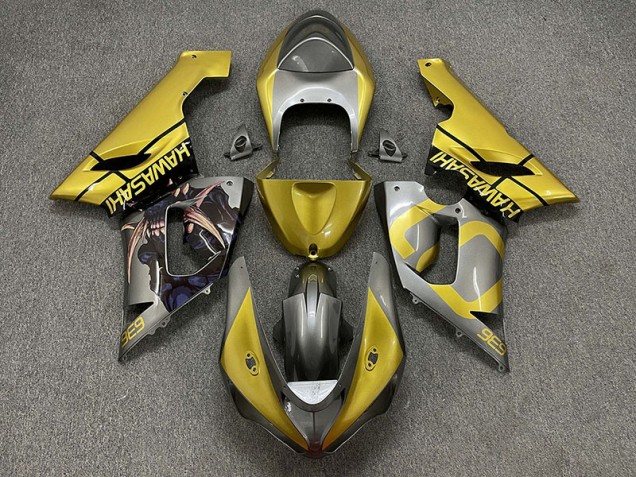 05-06 Gold & Silber ZX6R Motorrad Verkleidung