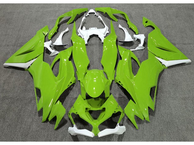 19-23 Glänzend Grün & Weiß ZX6R Motorrad Verkleidung